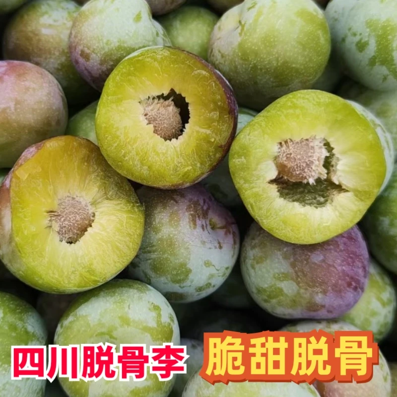 四川脱骨李新鲜青脆李宜宾茵红李半边红李青红脆甜李子清脆脱骨李
