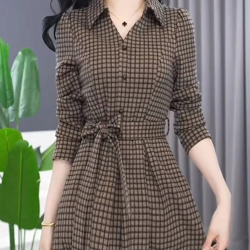 高端洋气连衣裙2024秋季新款收腰显瘦遮肉气质减龄时尚中长款裙