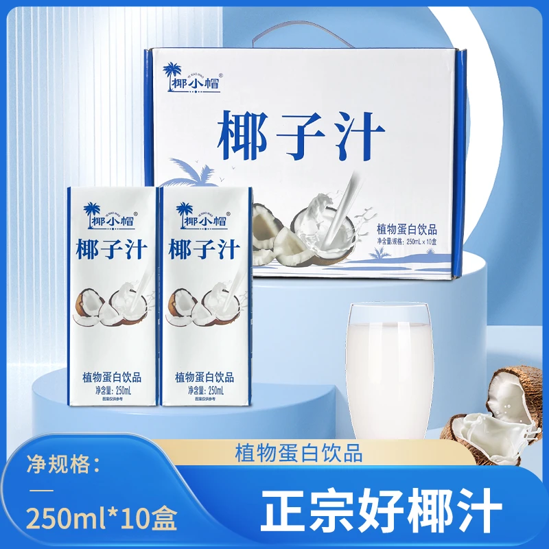 椰子汁生榨植物蛋白饮品风味饮料250ml*10瓶-HH