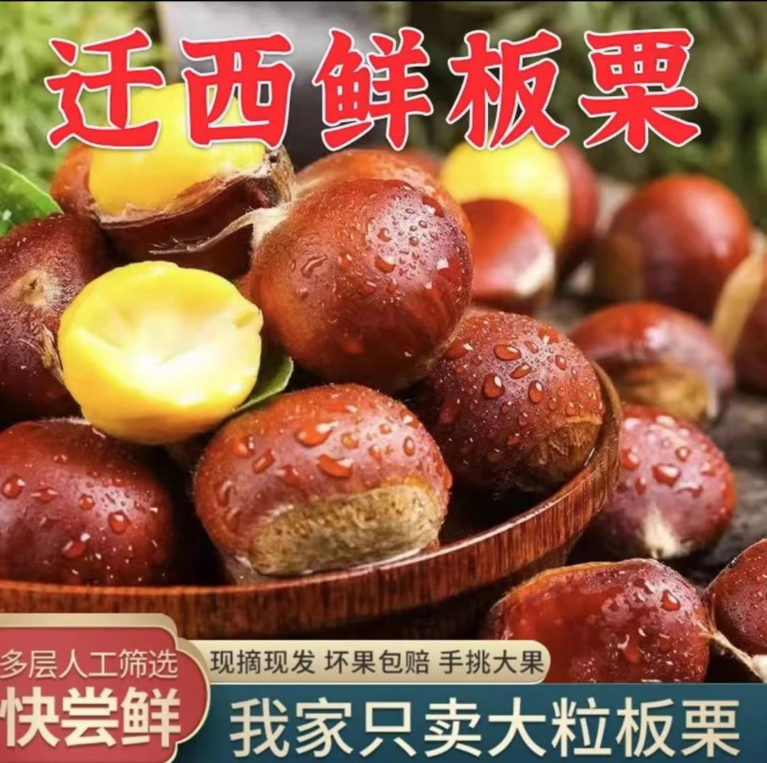 2023新鲜【老树大栗】正宗迁西板栗京东燕山板栗软糯香甜坏果包赔