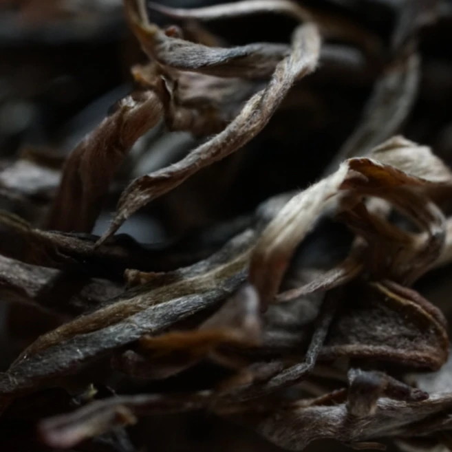 璞润元古茶【极味之味】2021年普洱茶山头纯料100g