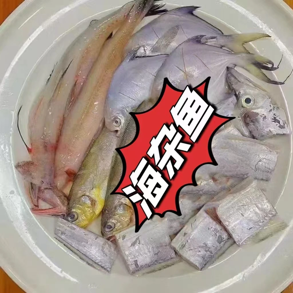 杂鱼拼盘750g±50g（箱内杂鱼随机会随时令变化）