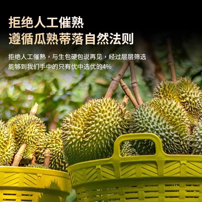 马来西亚冷冻原粒带壳红肉榴莲 香甜软糯【包五房，缺一赔一】