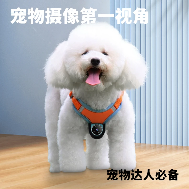 宠物记录仪一体机狗狗视角行踪记录猫咪防抖摄像头动物录播设备