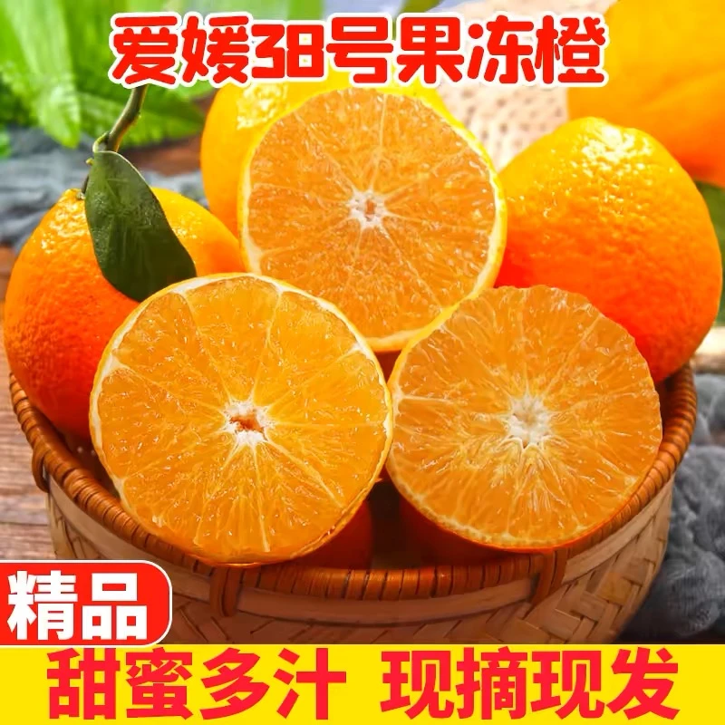 A正宗四川爱媛38号果冻橙新鲜当天采摘手工精心挑选爆甜产地直发