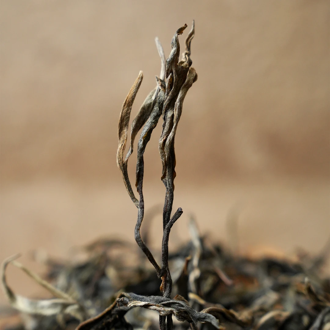 鸿鑫隆赛班章古树王春茶（挑树采）普洱茶生茶