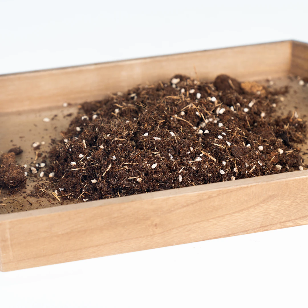 原森KsECO 天南星科专用土 营养土 木纤维泥炭 法国进口配方土