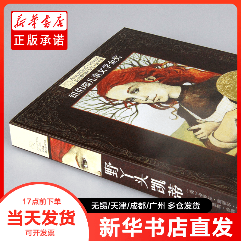 正版书 野丫头凯蒂 (美)卡罗尔·瑞丽尔·布林克 9787571510756