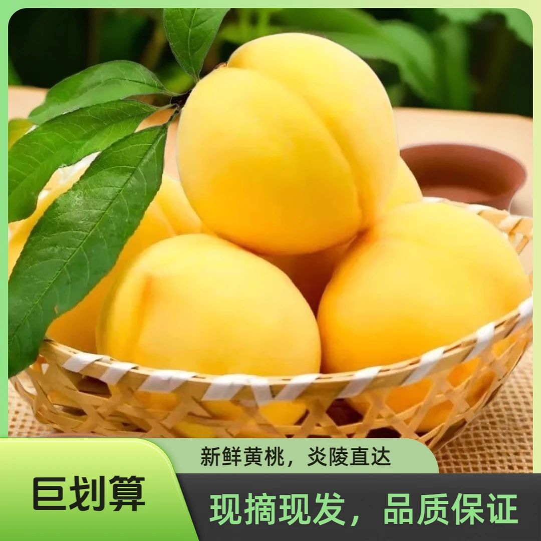正宗湖南炎陵黄桃现摘现发新鲜直发水果高山锦绣红心桃子5斤10斤