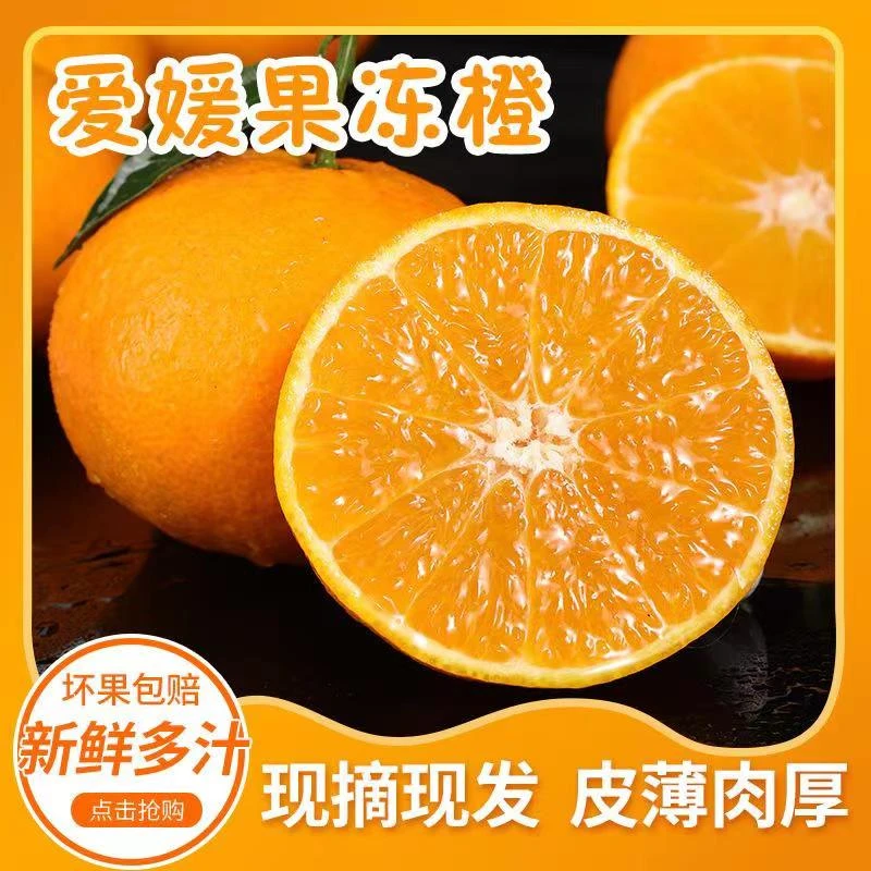 四川眉山爱媛38果冻橙果农直发自然成熟发货中通快递