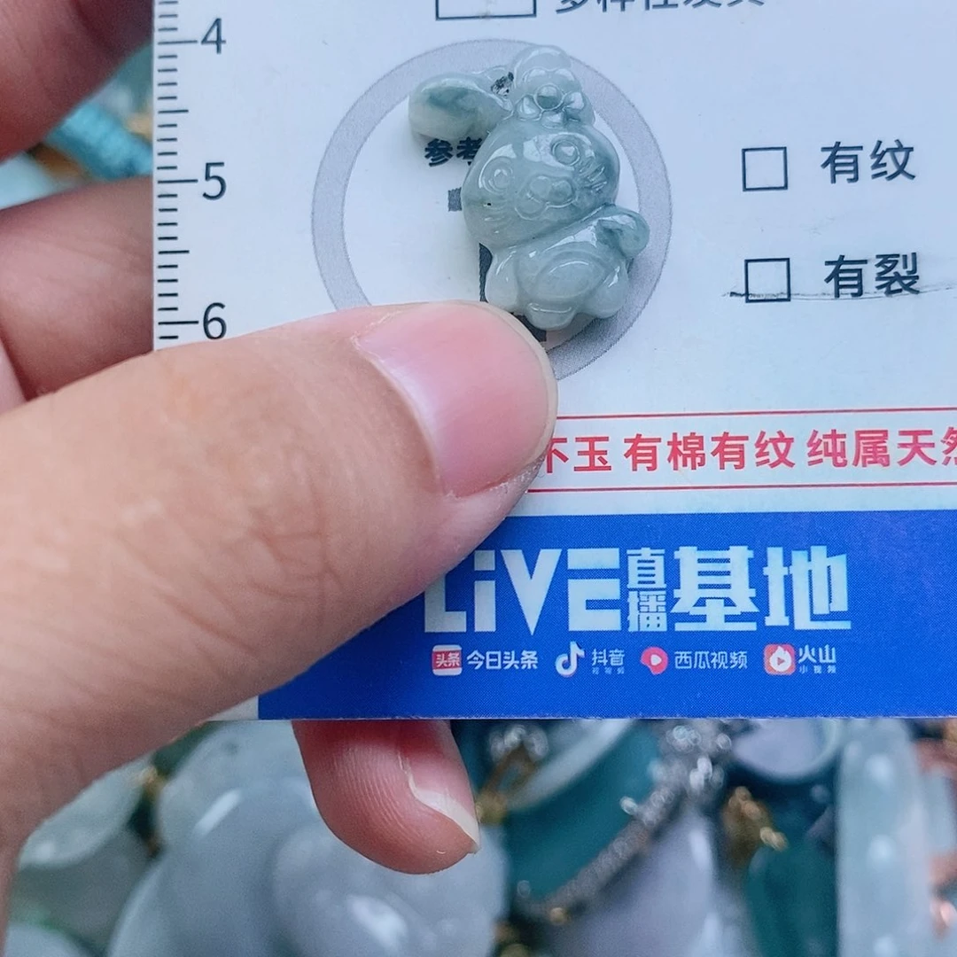 翡翠颈饰未镶嵌纯天然