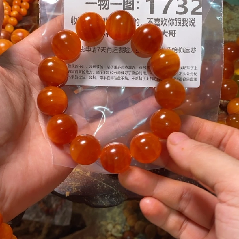 【闪购商品】贝壳杉（血龙木）手串/手链追*
