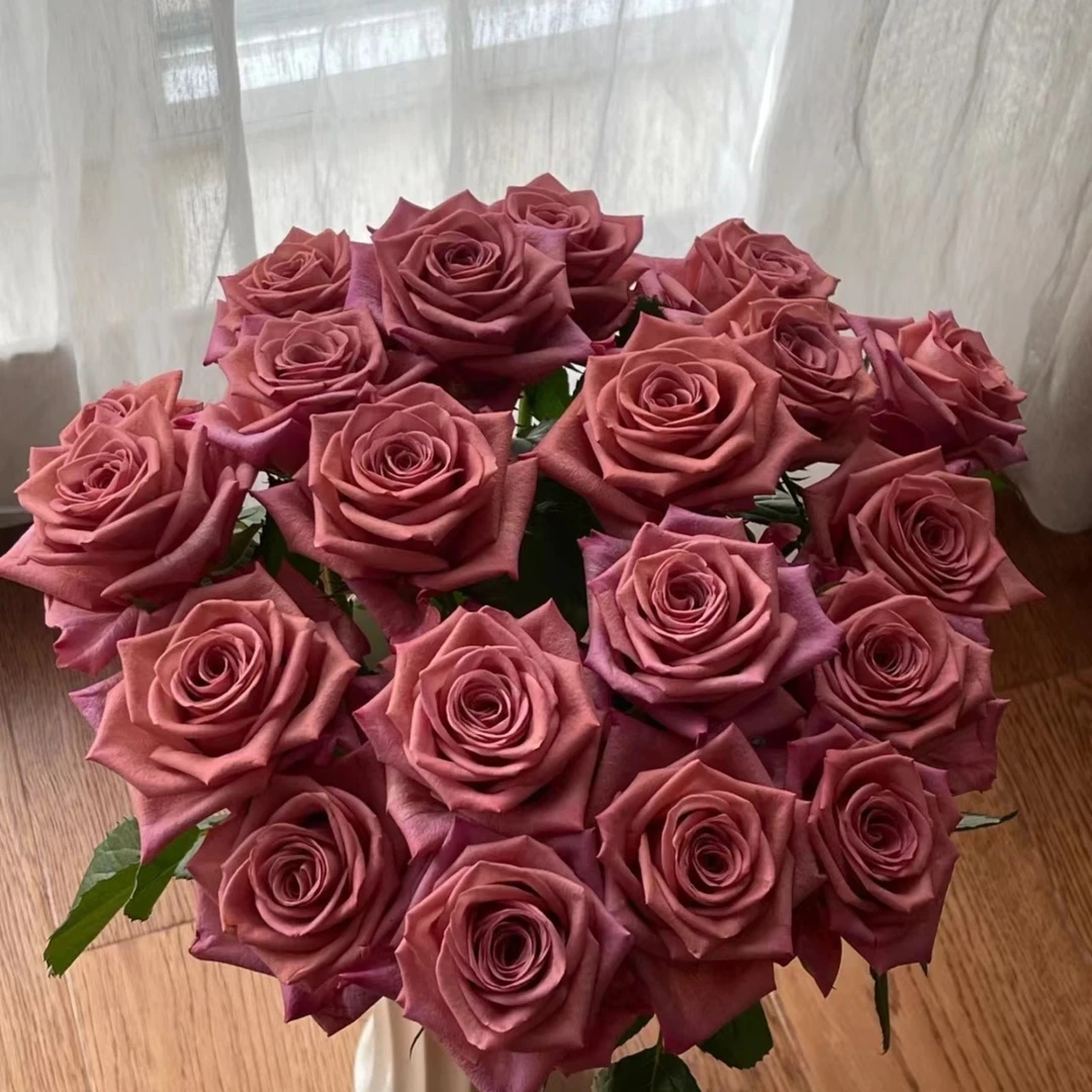 调香师   玫瑰 云南基地直发  任意两单顺丰