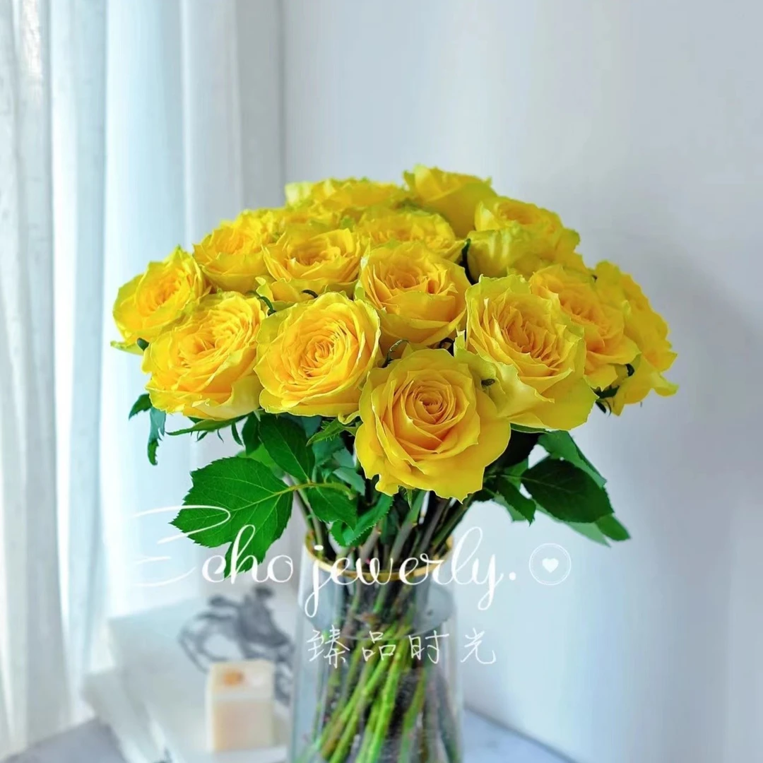 乡村阳光 玫瑰   云南基地直发