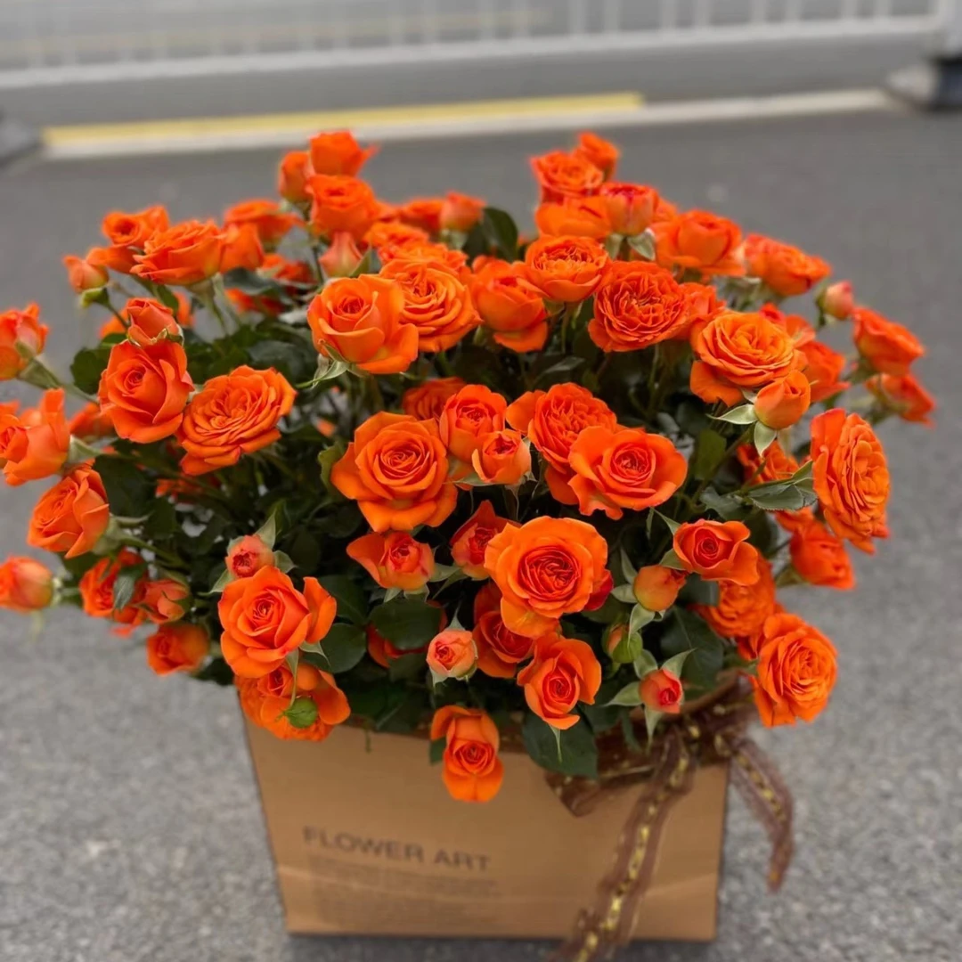 10支橙色芭比 --多头玫瑰  天冷地区拍保温 不拍冻坏不售后