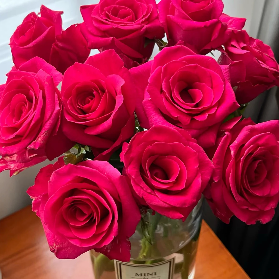 樱桃缤果玫瑰 云南基地直发 任意两单起发