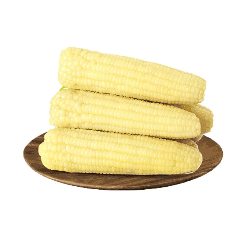 【软糯香甜】年香玉速冻黏玉米20穗切头去尾
