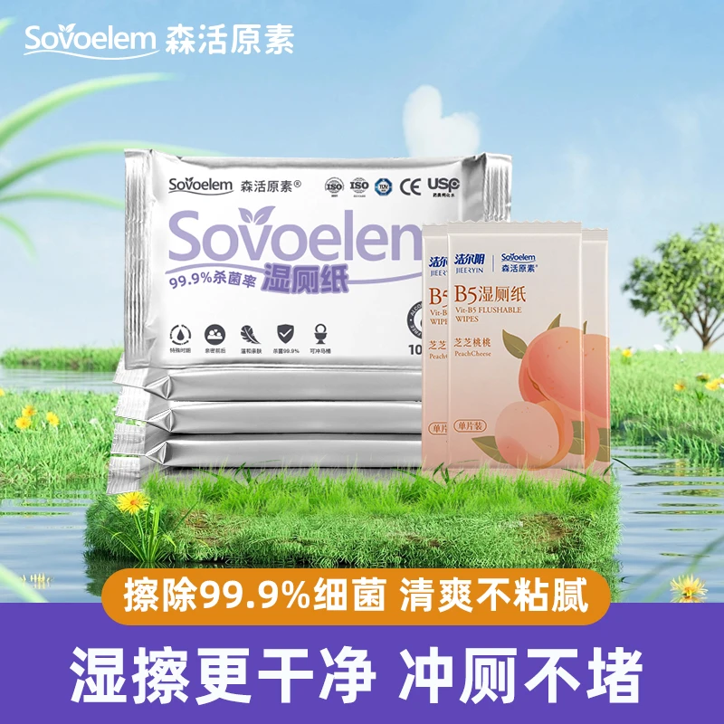 湿厕纸10片装*5+B5湿厕纸单片装*3