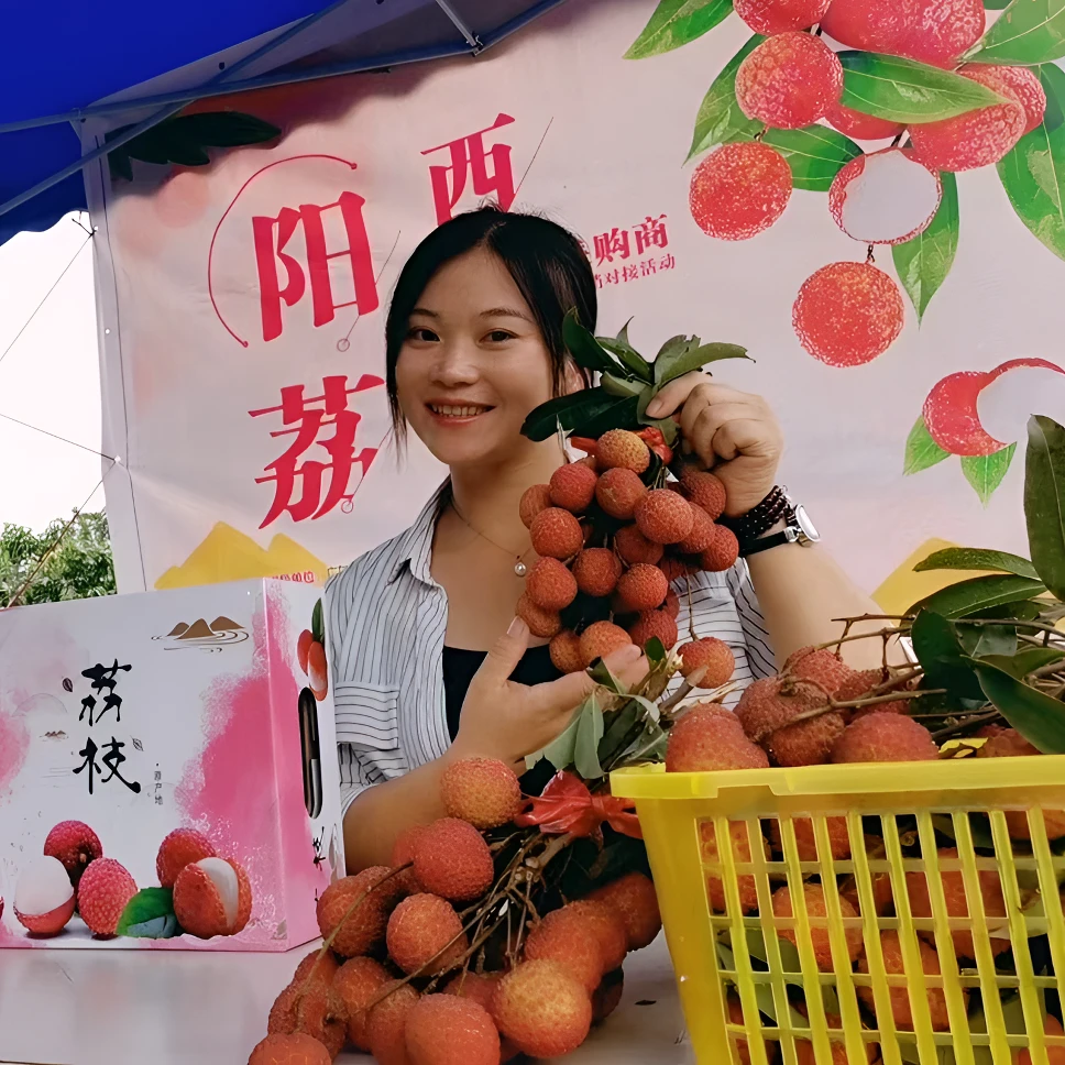 广东阳西上洋镇玉荷包荔枝产地直发京东快递省内一件包邮