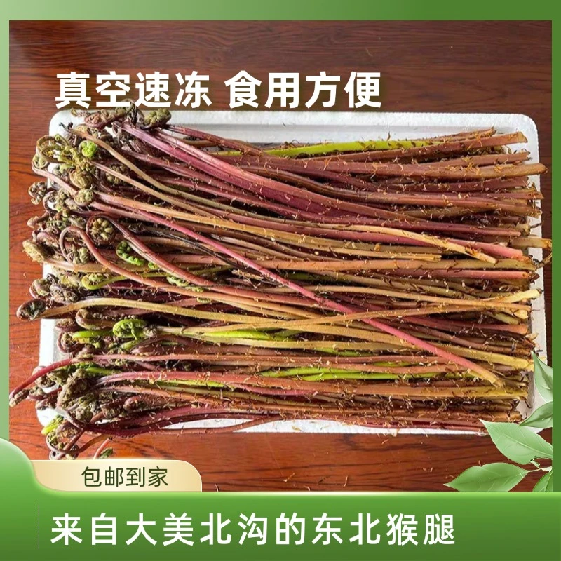 东北特产速冻猴腿菜辽宁新鲜山野菜紫蕨菜蘸酱菜真空速冻