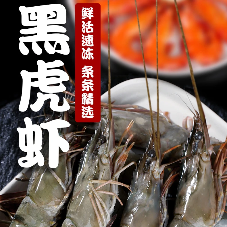 正宗马来西亚大头黑虎虾