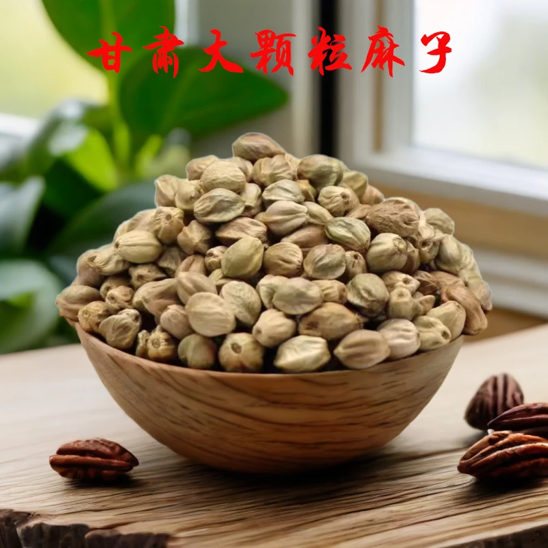 甘肃常温新鲜麻子特大粒可食用麻子500g火麻子可榨油颗粒甘肃天水