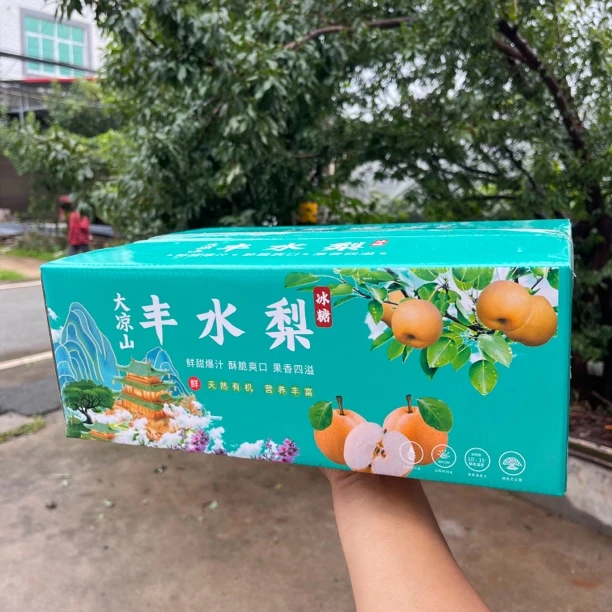 四川大凉山丰水蜜梨3-5斤