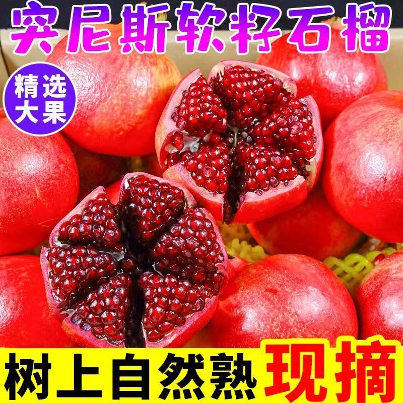 突尼斯软籽石榴无籽石榴四川会理软籽甜石榴中秋礼盒送亲人长辈
