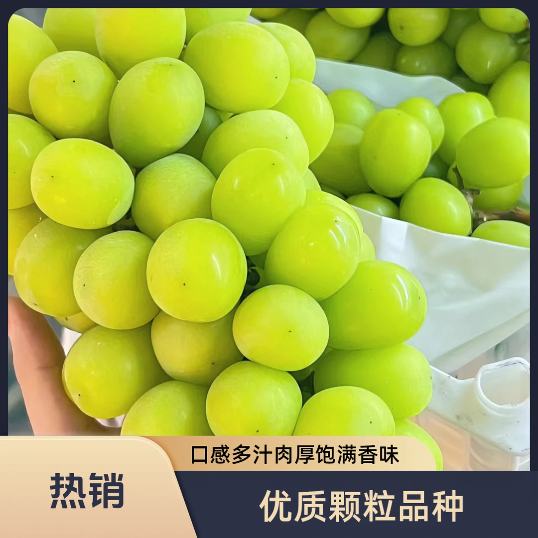 【果王送2斤】阳光玫瑰优质颗粒品种口感多汁肉厚饱满香味