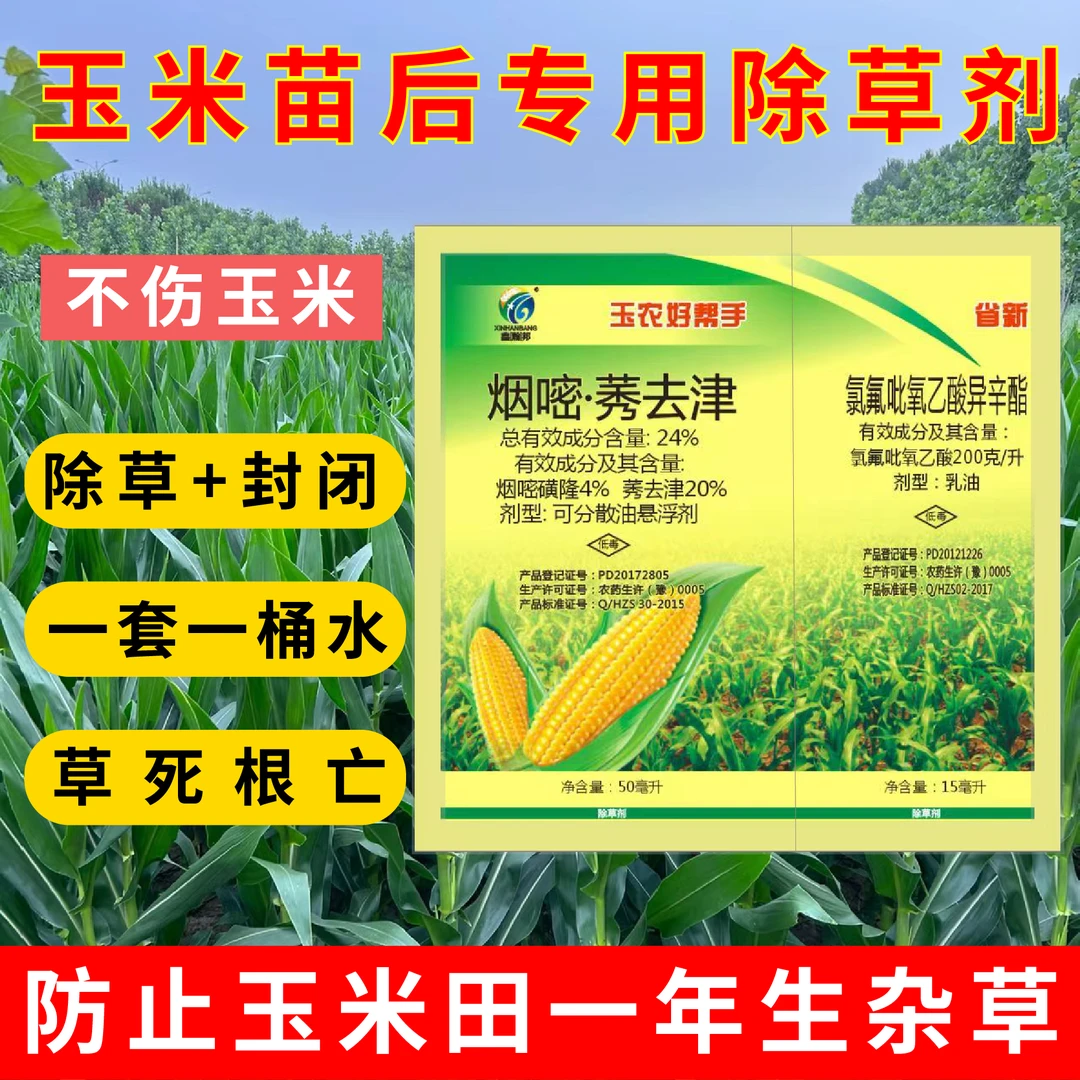 玉米地专用除草剂苗后除草不伤苗安全农药批发苗后封闭水花生芦苇