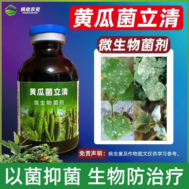 黄瓜专用药叶斑病靶斑病灰霉病角斑霜霉病褐斑病杀菌剂肥料微生物