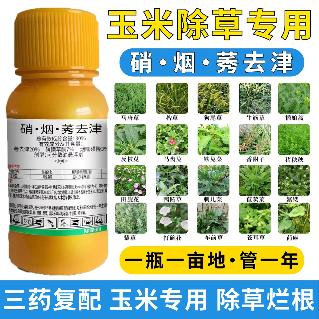 玉米地除芦苇马塘牛筋草除草剂安全不伤苗环黄酮苯唑草酮硝烟莠