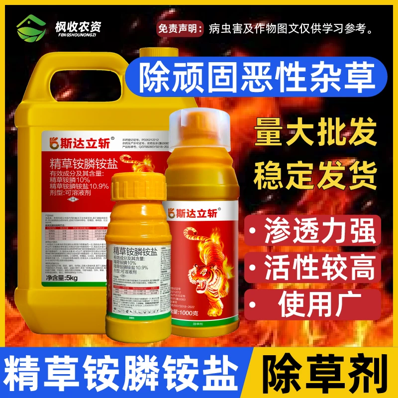 精草铵膦铵盐除草剂烂根剂杂草草铵膦节节草小飞蓬水花生果顽固杂