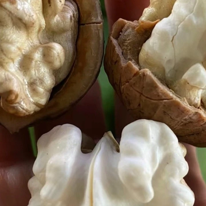(高端)A级大果4斤云南老树核桃 甘甜 皮薄