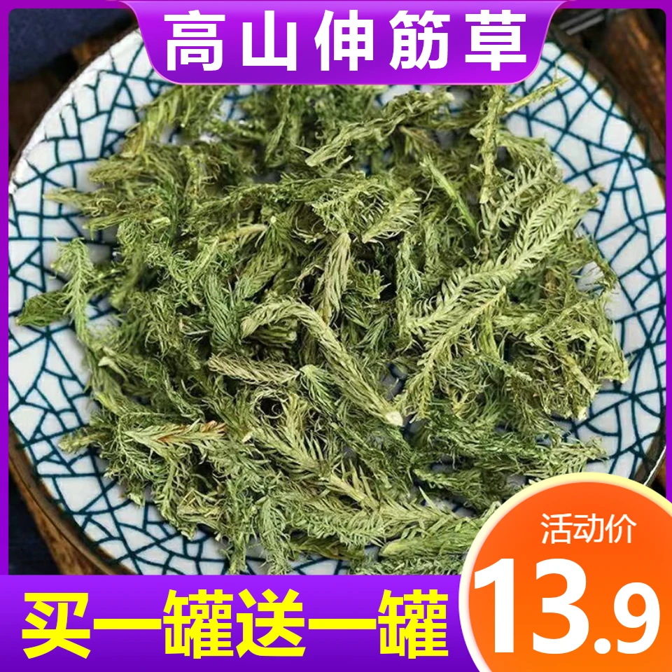 13.9抢2大罐】新货伸筋草深山透骨草舒筋草新鲜干货泡脚精选品质