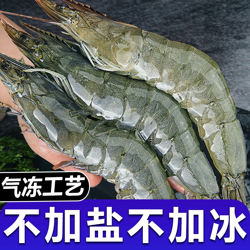 气冻30/40青岛大虾净重3斤鲜活超大基围虾液氮白虾青虾海虾
