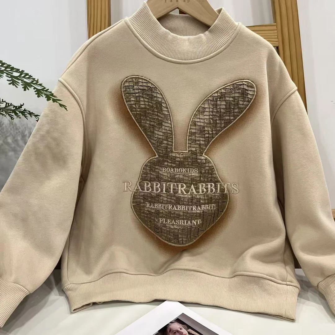 3012  秋冬季中大童休闲卫衣  B