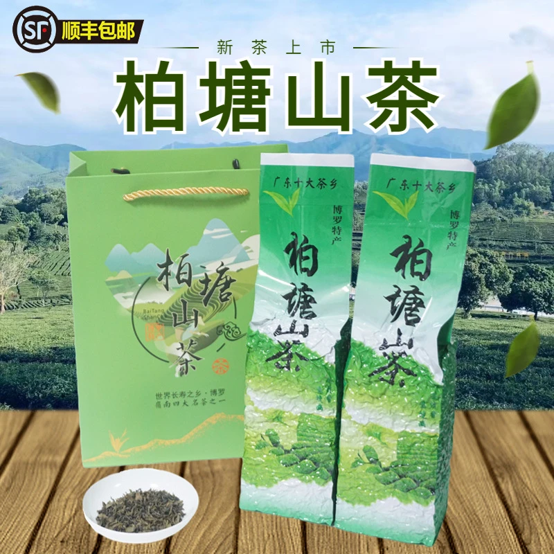 柏塘山茶夏茶广东十大名茶惠州特产博罗浓香绿茶罗浮山原产地品牌