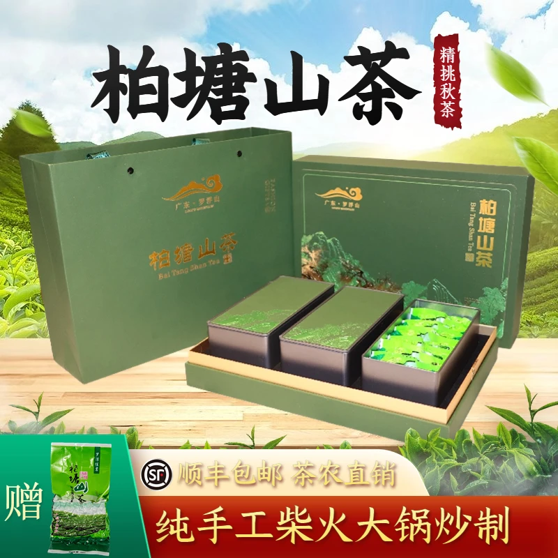 2023柏塘山茶精挑秋茶广东十大名茶惠州博罗浓香绿茶客家特产茶叶