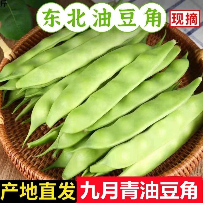 东北九月青油豆角 【5斤包邮】农家纯绿色种植 现摘现发