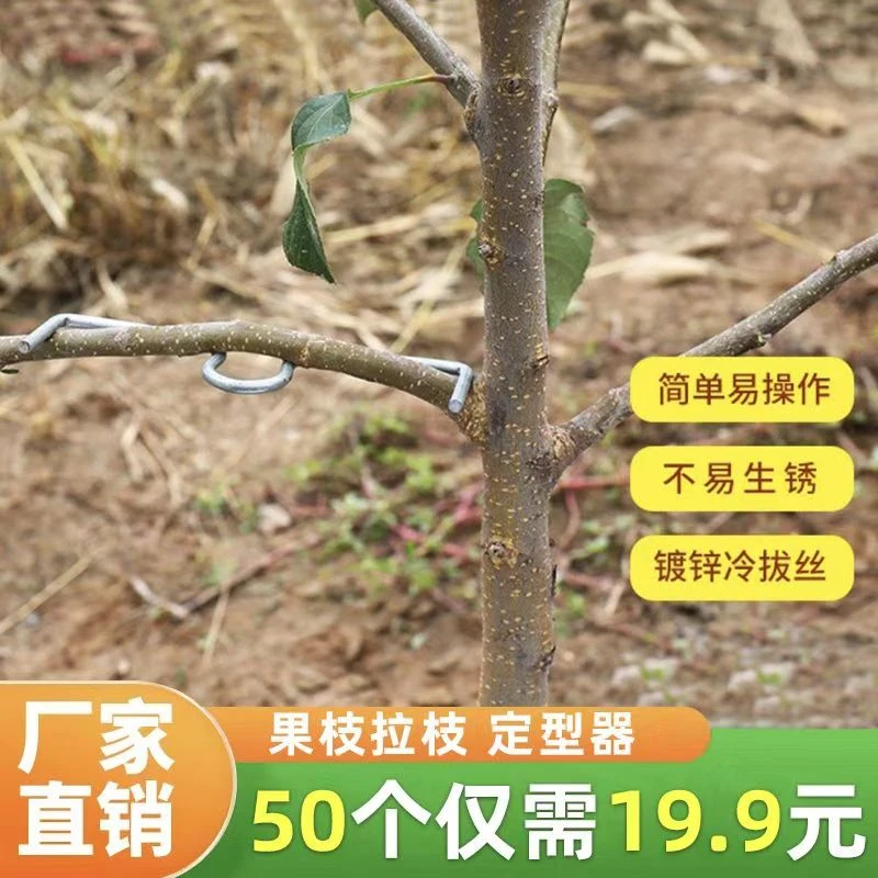 【拍1发50】果树固定神器苗木支撑器压枝弯枝定型固定神器