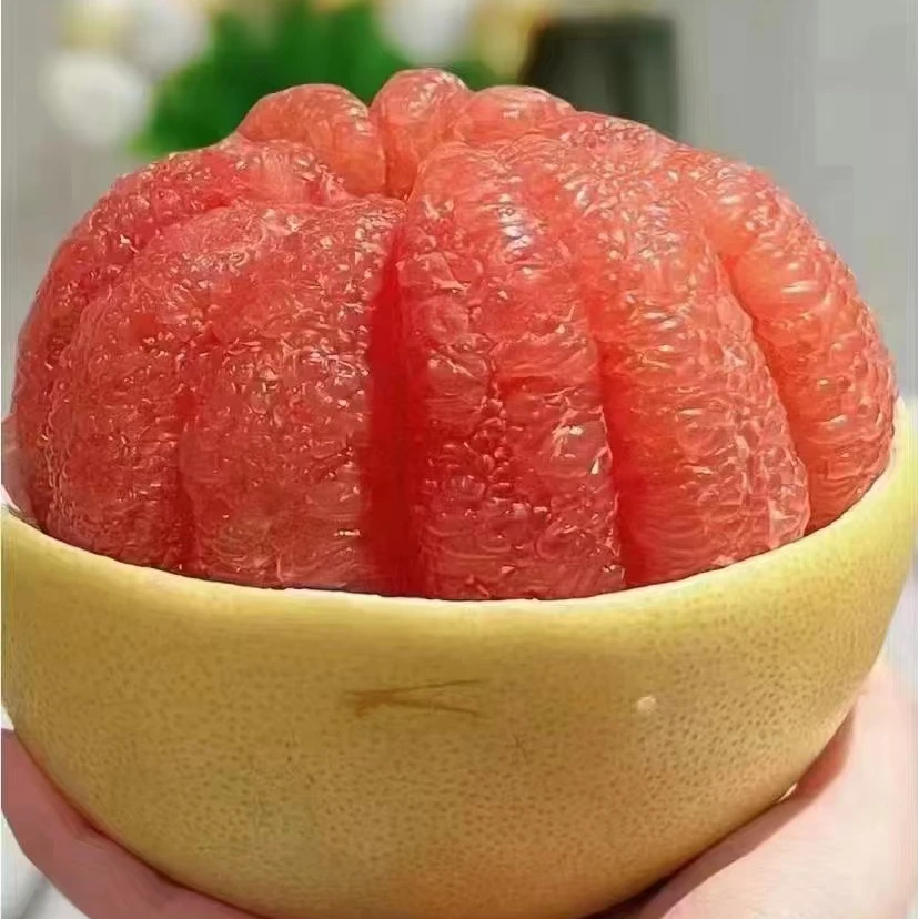 【韶关精品长坝蜜柚】韶关长坝特产老树红心蜜柚佳品清甜新鲜礼盒装