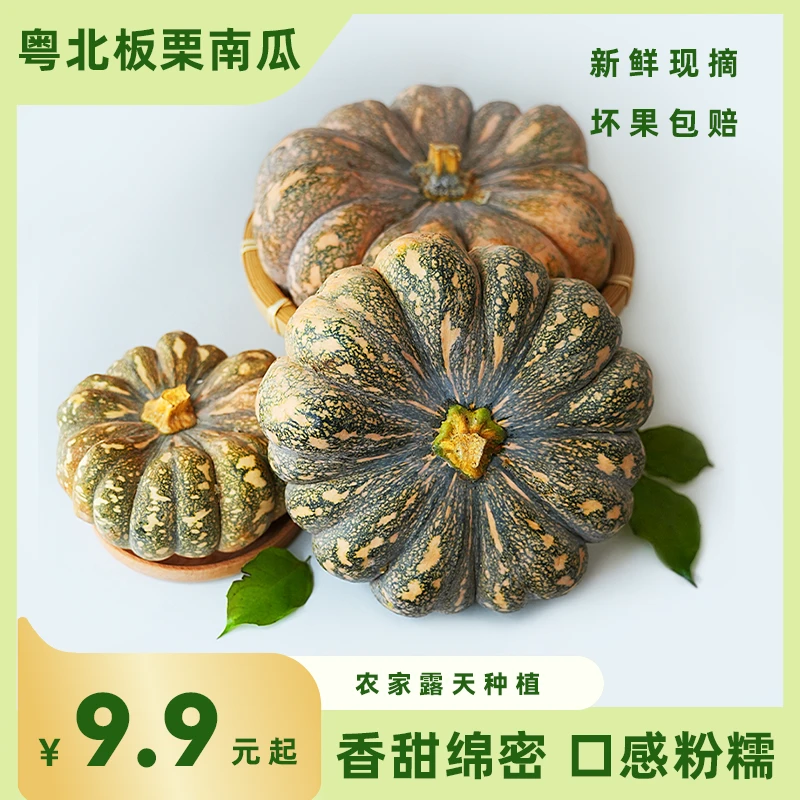 【粤北板栗南瓜】板栗南瓜辅食香甜板栗口味粉面甜口感农家生态种植