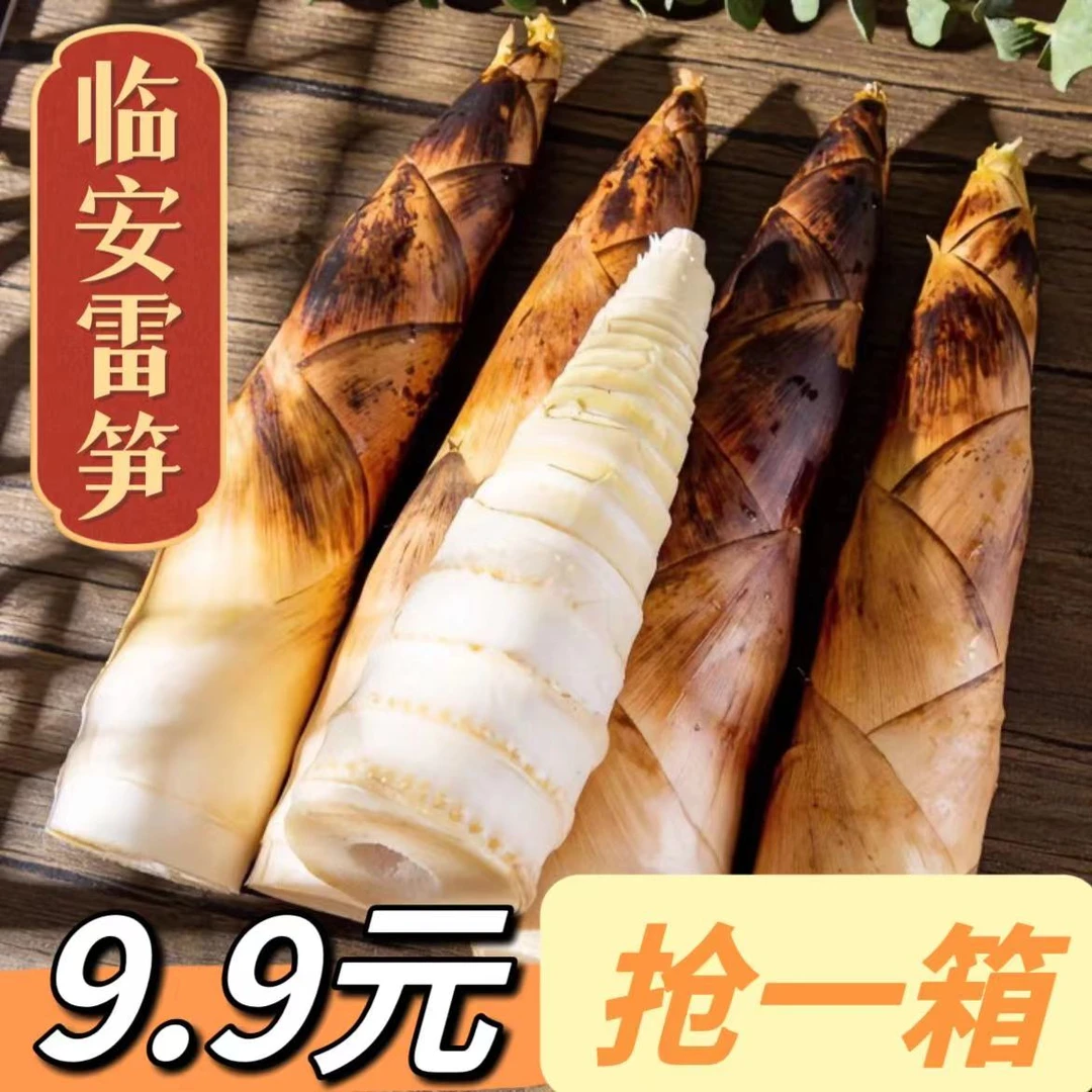【秒单抢】临安雷笋新鲜食用现挖不同时令生鲜脆嫩鲜美爽口产地直供