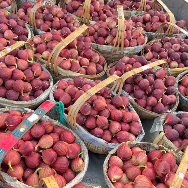 浙江金华树熟清甜当天现摘红皮无花果 新鲜果