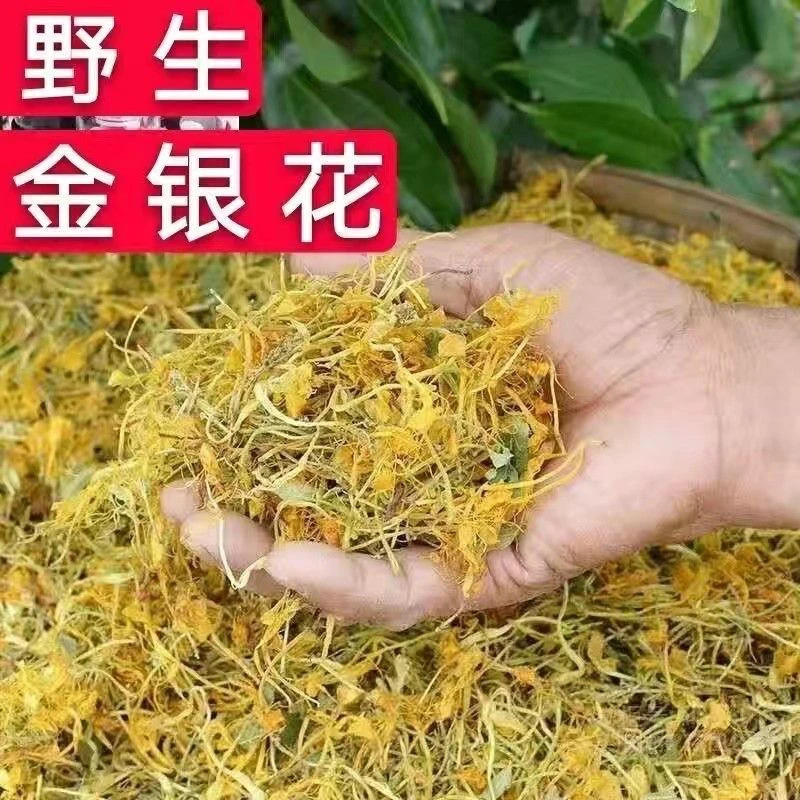 金银花山银花深山采摘批发散装金银花茶干货包邮