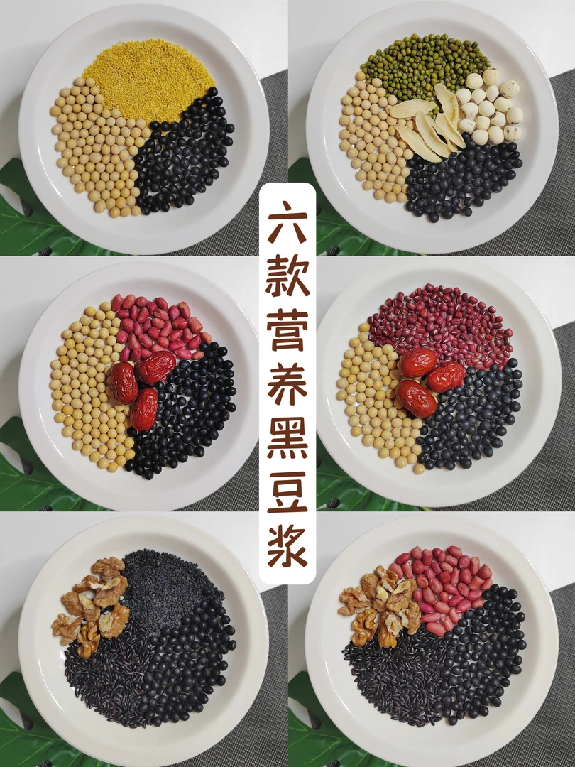 （备孕推荐）破壁机豆浆养生黑豆浆料理食材包懒人五谷豆浆早餐米糊