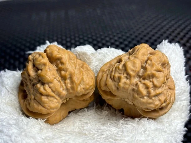 蛤蟆头 文玩核桃 W1 45 48 35