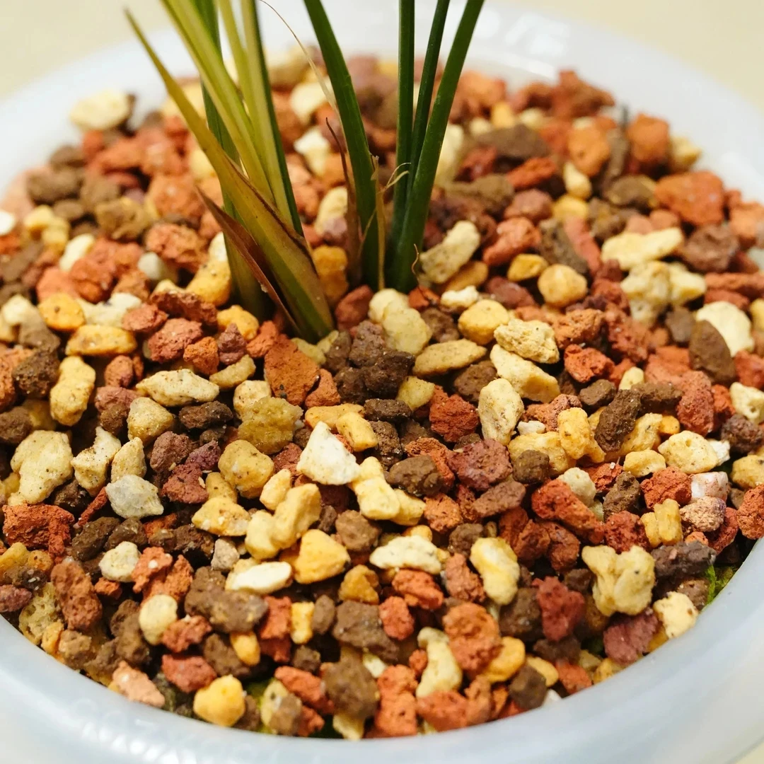 福利！福利！福利！过筛清洗款精品铺面石颗粒1斤