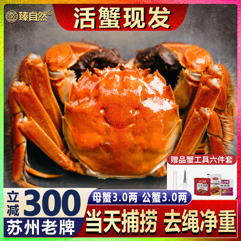 【活蟹】臻自然精挑大闸蟹 母蟹3.0两 公蟹3.0两共8只 新鲜螃蟹礼盒